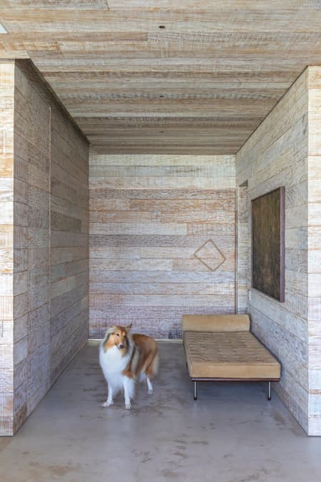 CASA M+JP